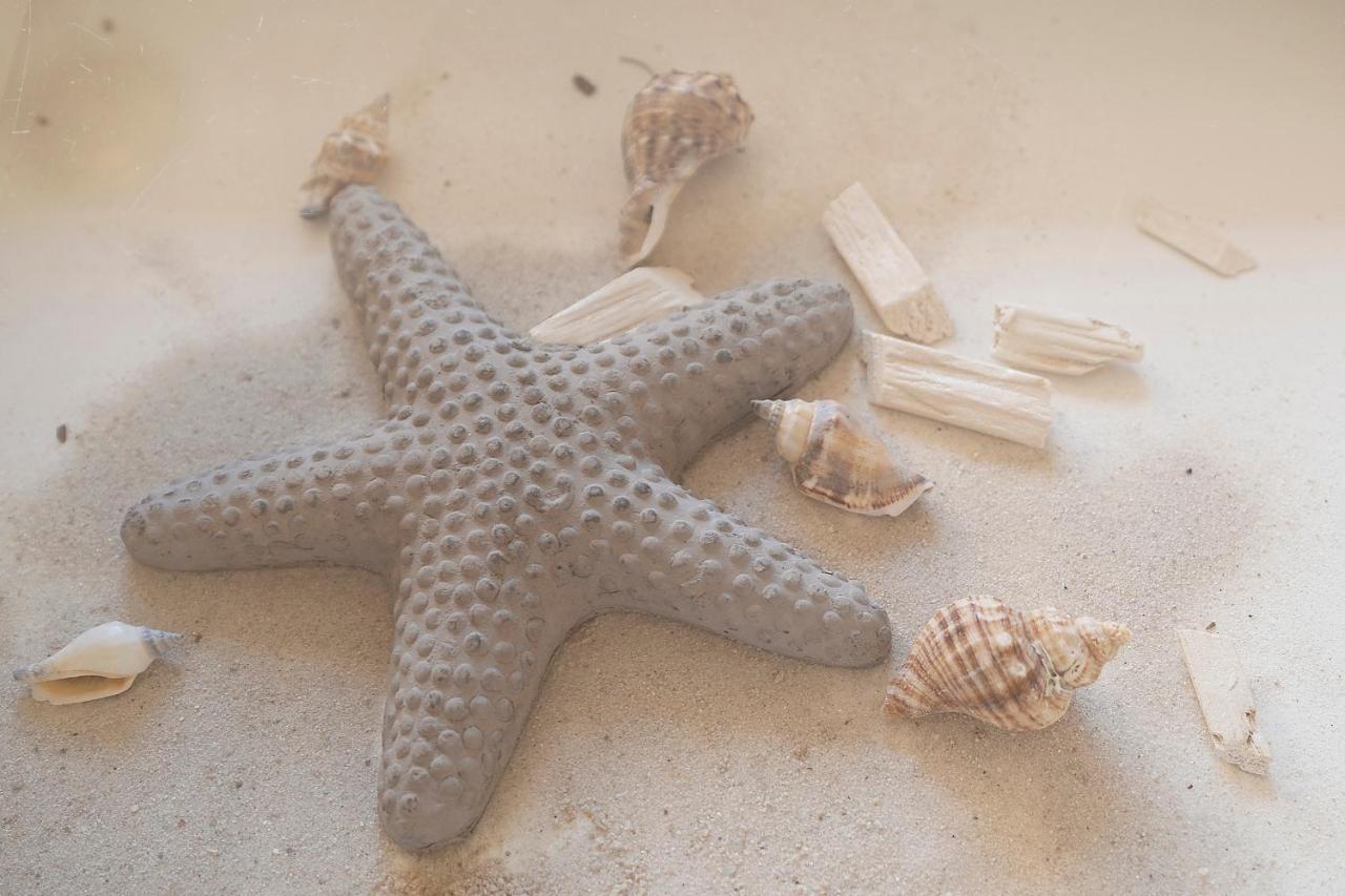 Strandfee Sommerglueck グレーミッツ エクステリア 写真